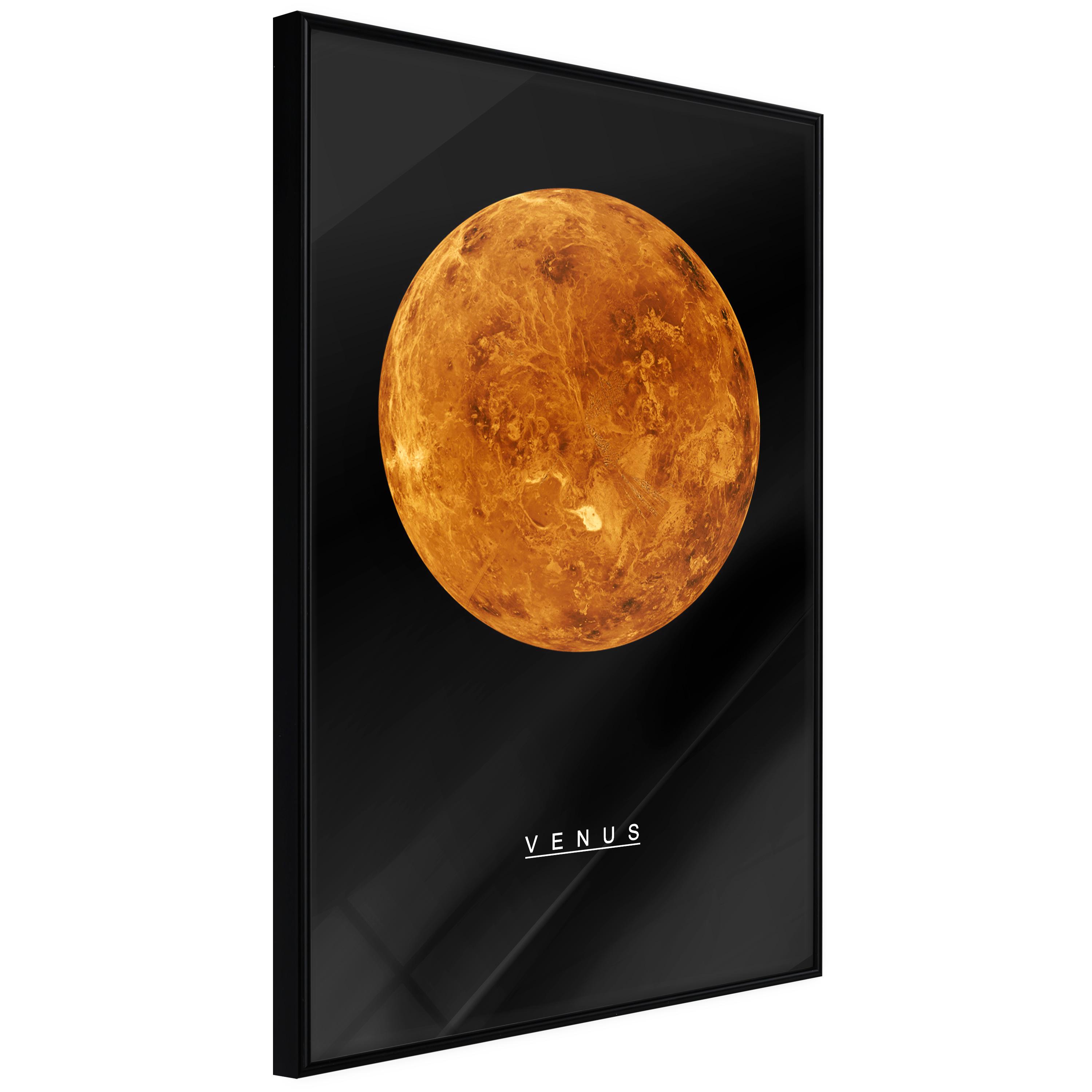 Plakat - Venus - 40 x 60 cm - Sort ramme
