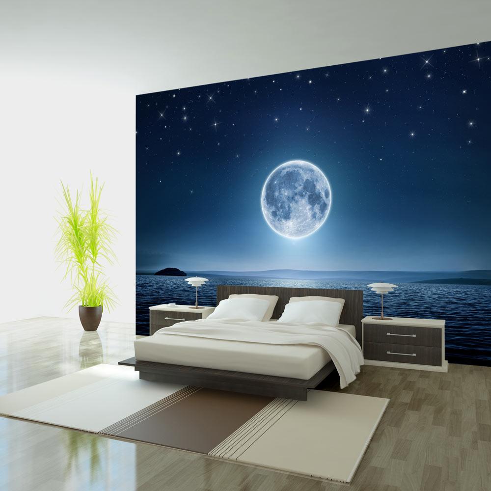 Fototapet - Moonlit night - 450 x 315 cm - Premium billede