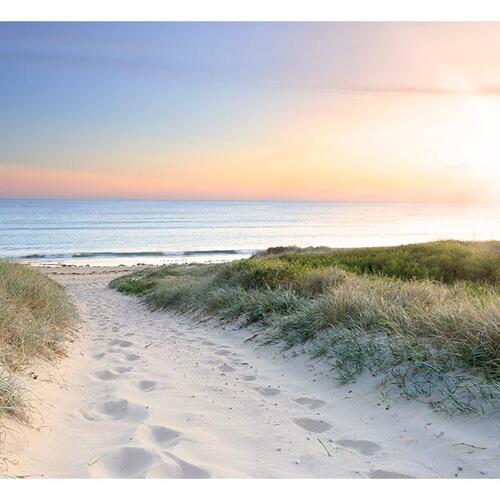 Fototapet - Morning walk on the beach