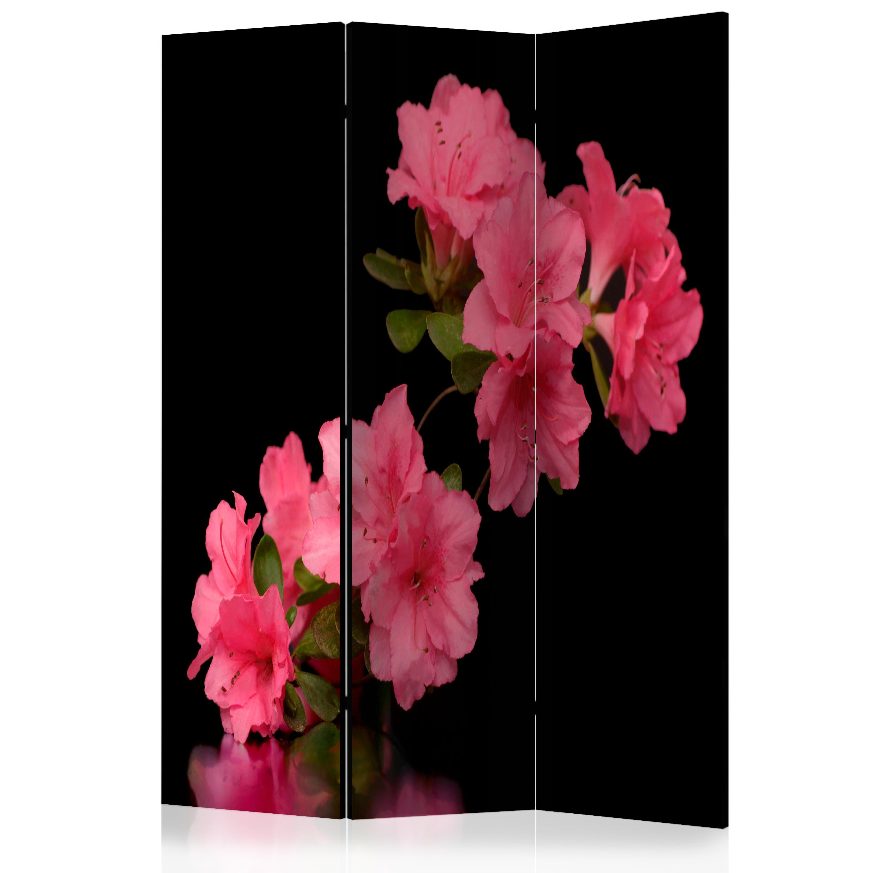 Skærmvæg - Azalea in Black - 135 x 172 cm - Dobbeltsiddet