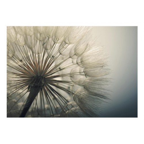 Fototapet - Ephemerality