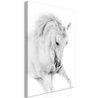 Billede - White Horse (1 Part) Vertical