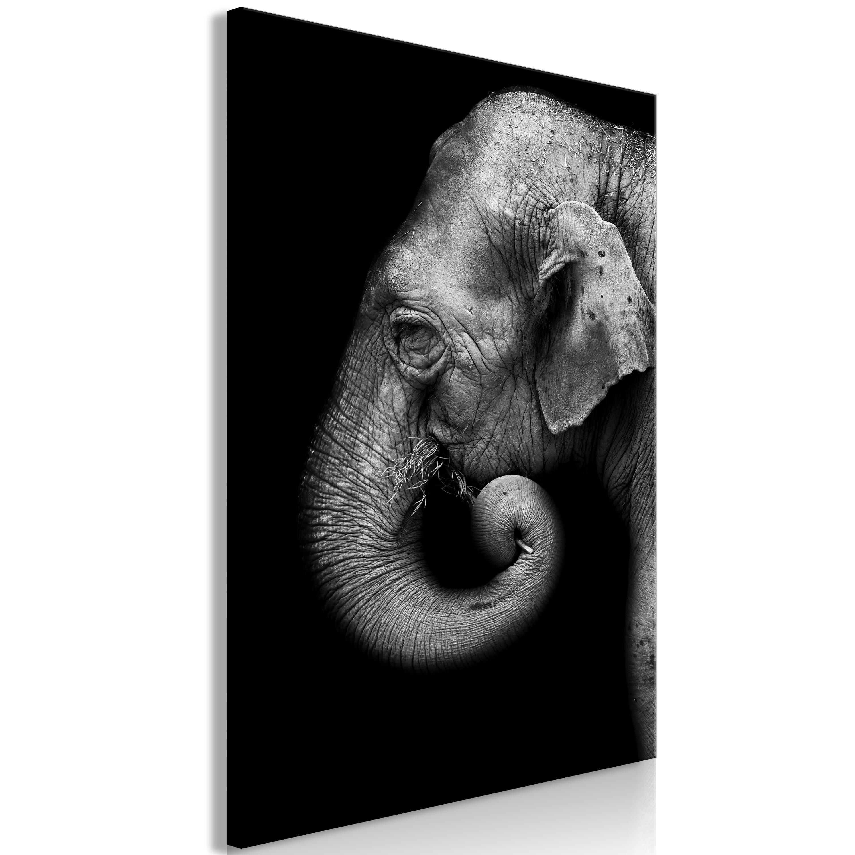 Billede - Portrait of Elephant (1 Part) Vertical - 40 x 60 cm - Standard