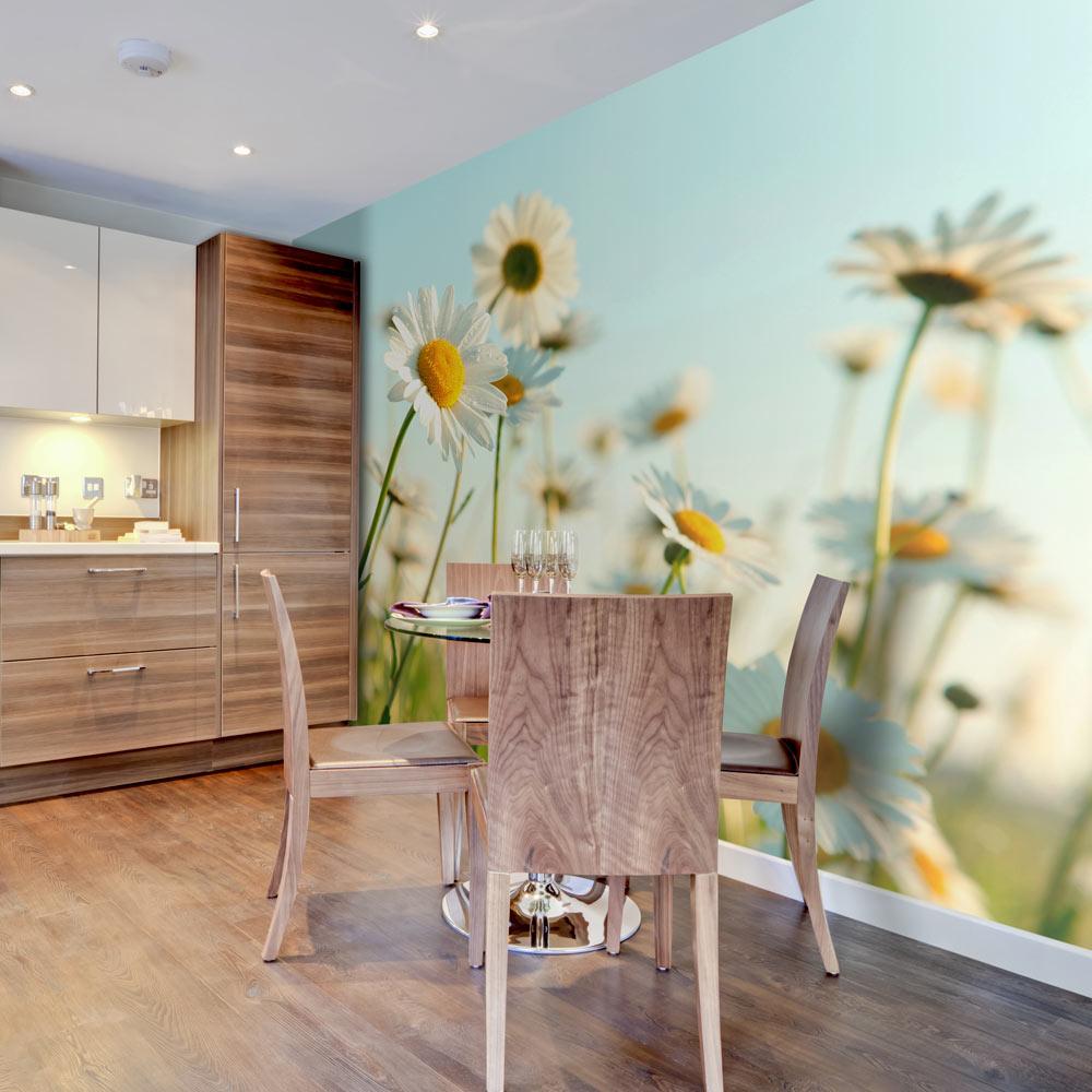 Fototapet - Daisies - spring meadow - 250 x 193 cm - Standard