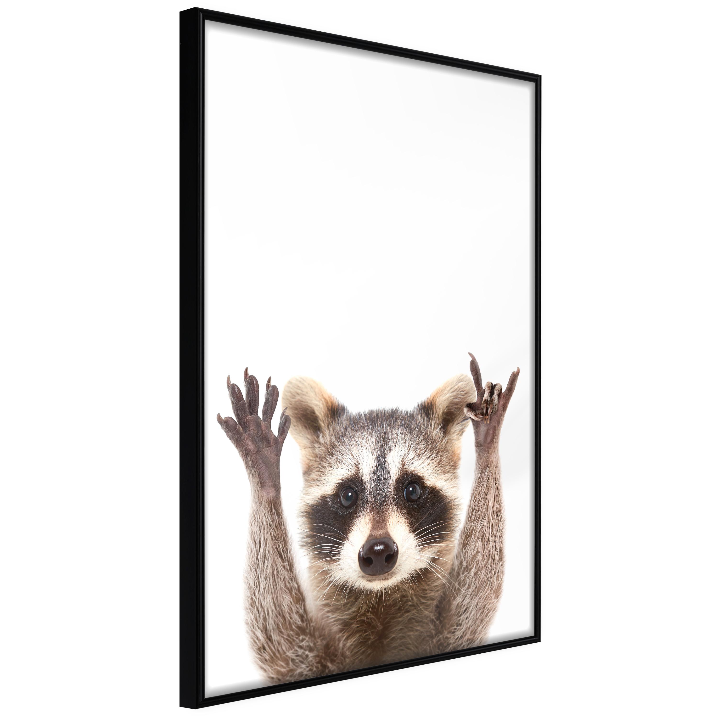Plakat - Raccoon - 30 x 45 cm - Sort ramme