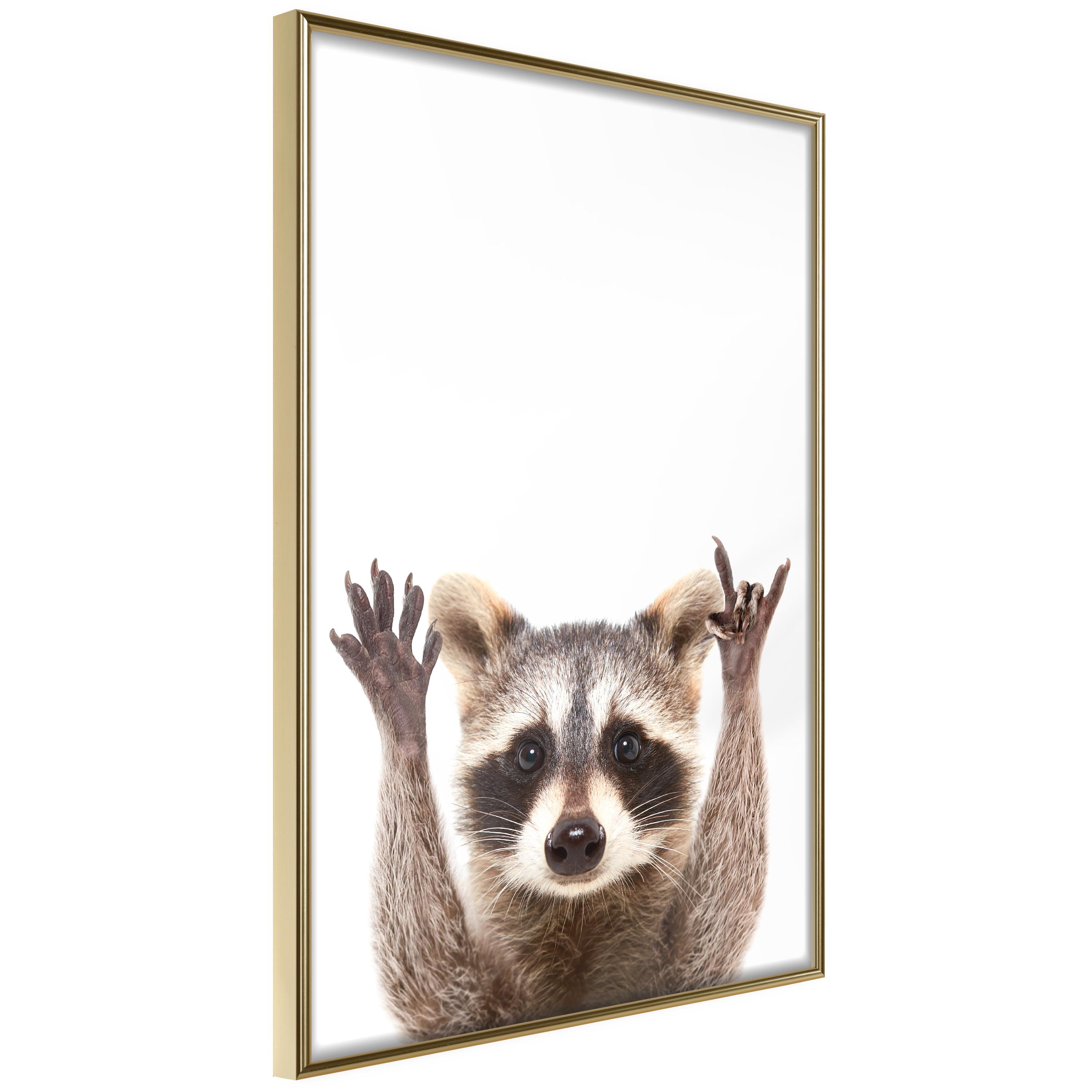 Plakat - Raccoon - 30 x 45 cm - Guldramme