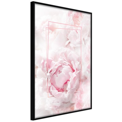 Plakat - Fleeting Beauty