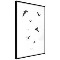 Plakat - Evening Flight