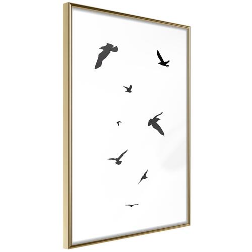 Plakat - Evening Flight
