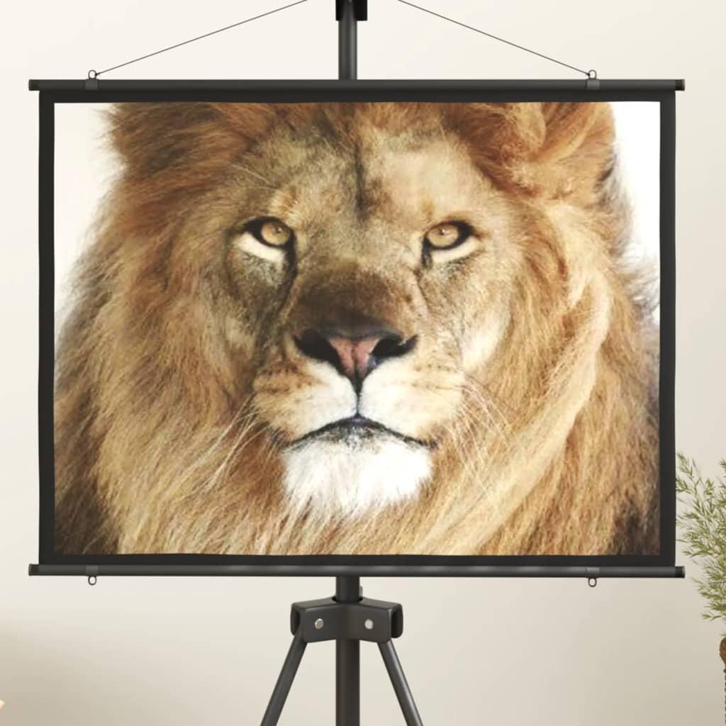 Projektorlærred 50" 4:3