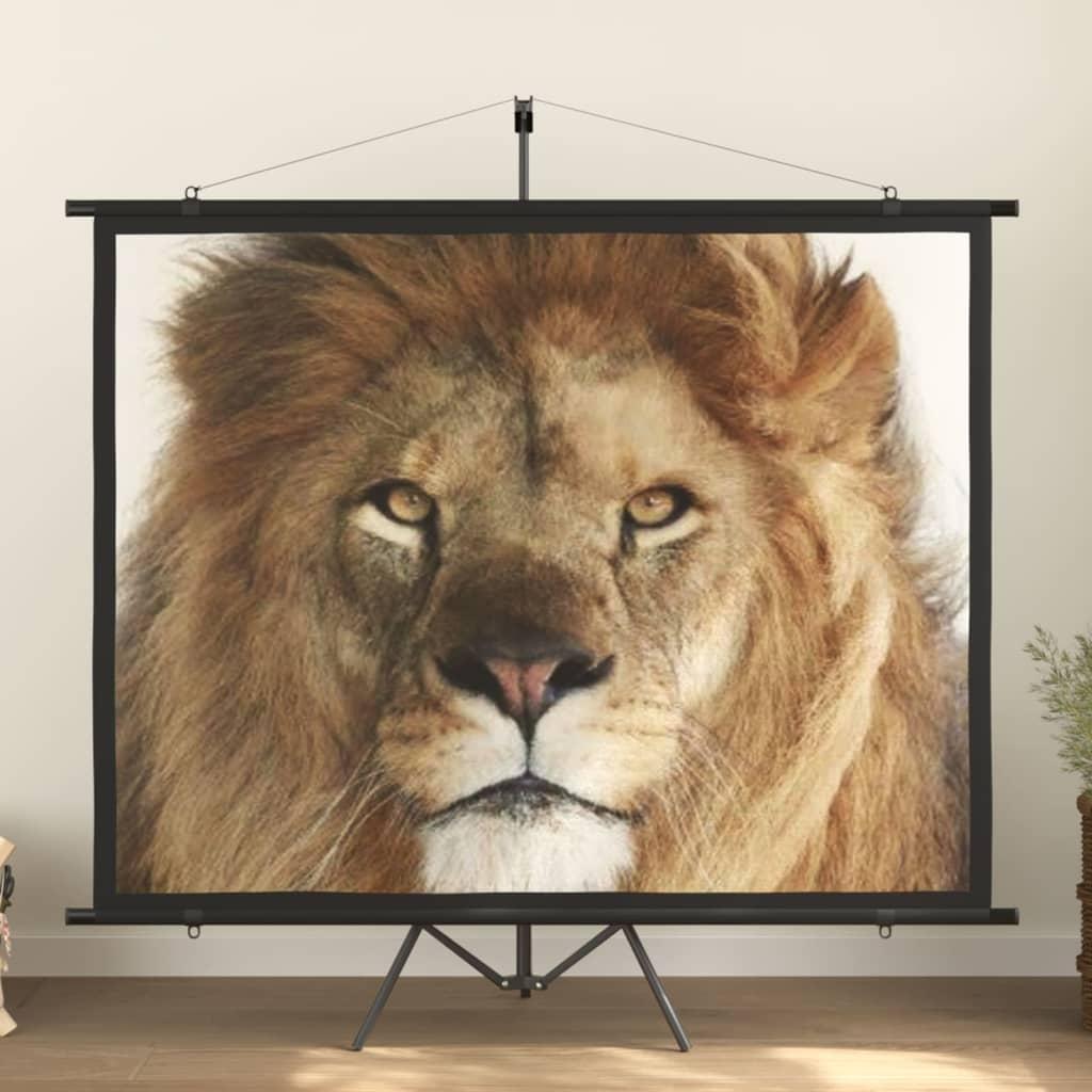 Projektorlærred 100" 4:3