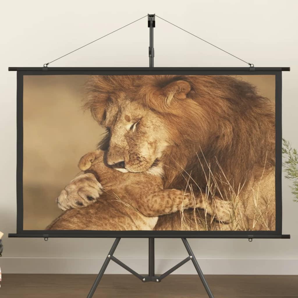 Projektorlærred 60" 16:9