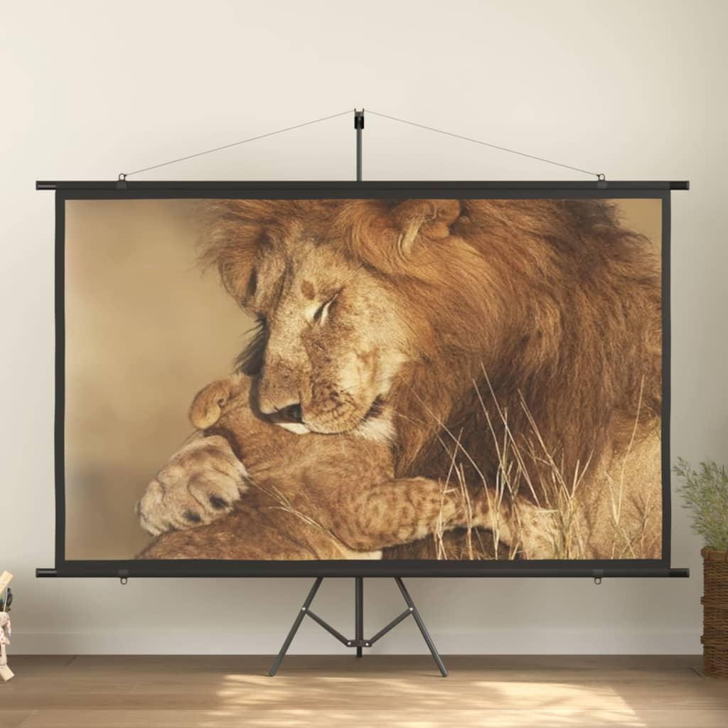Projektorlærred 108" 16:9