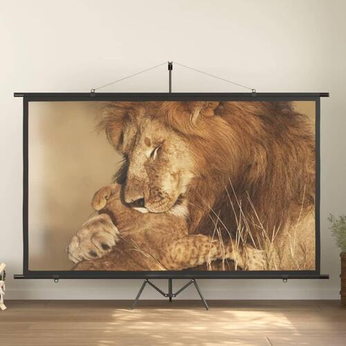 Projektorlærred 120" 16:9