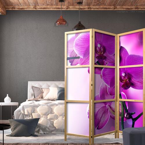 Japansk skærmvæg - Violet Orchids I 135 x 161 cm