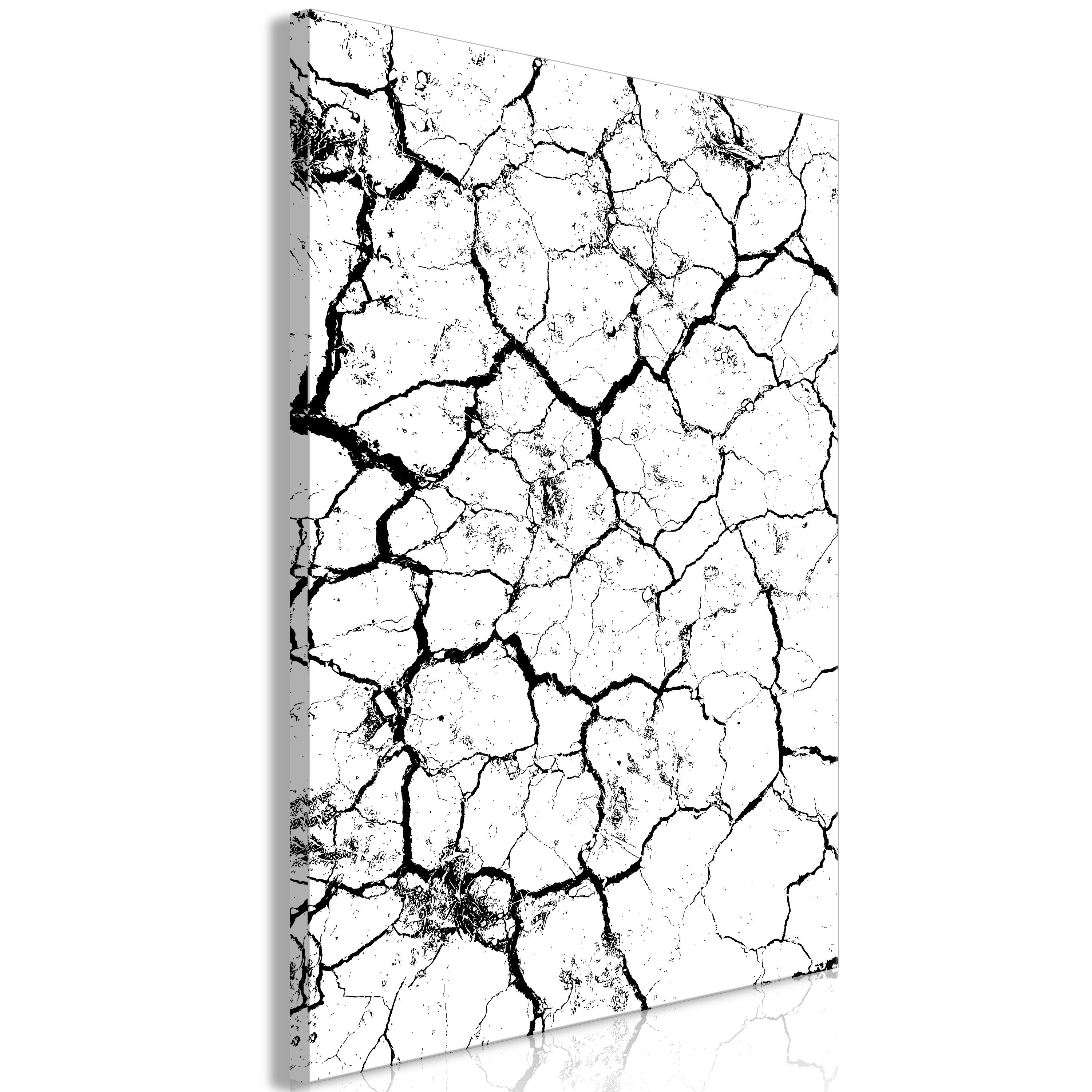 Billede - Cracked Earth (1 Part) Vertical - 40 x 60 cm - På italiensk lærred