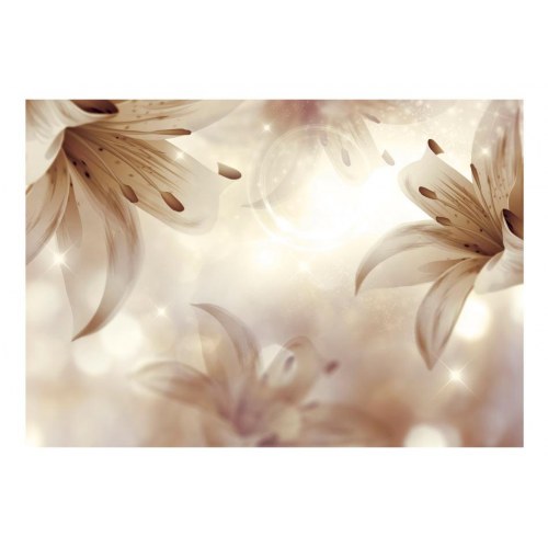 Fototapet - Gentle Symphony