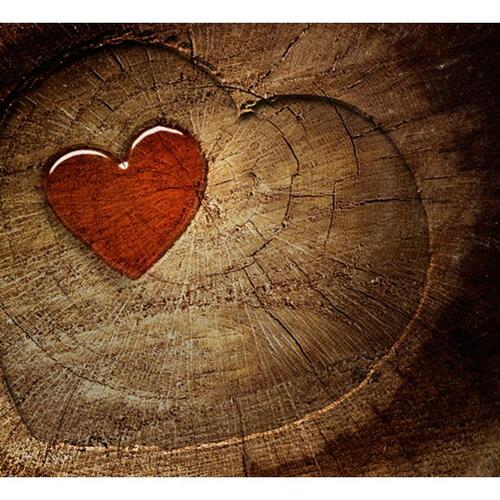 Fototapet - Eternal love