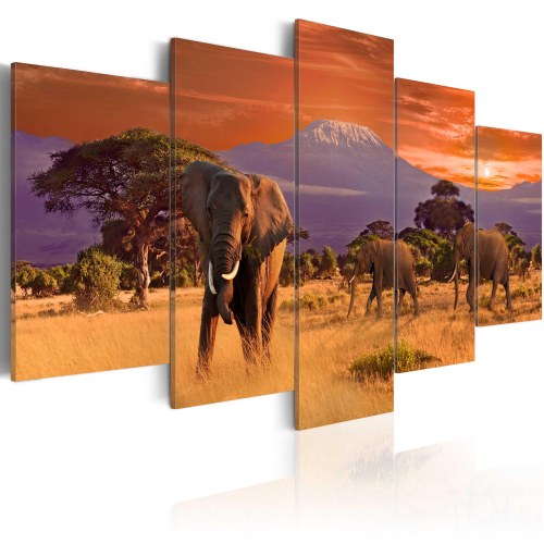 Billede - Africa: Elephants