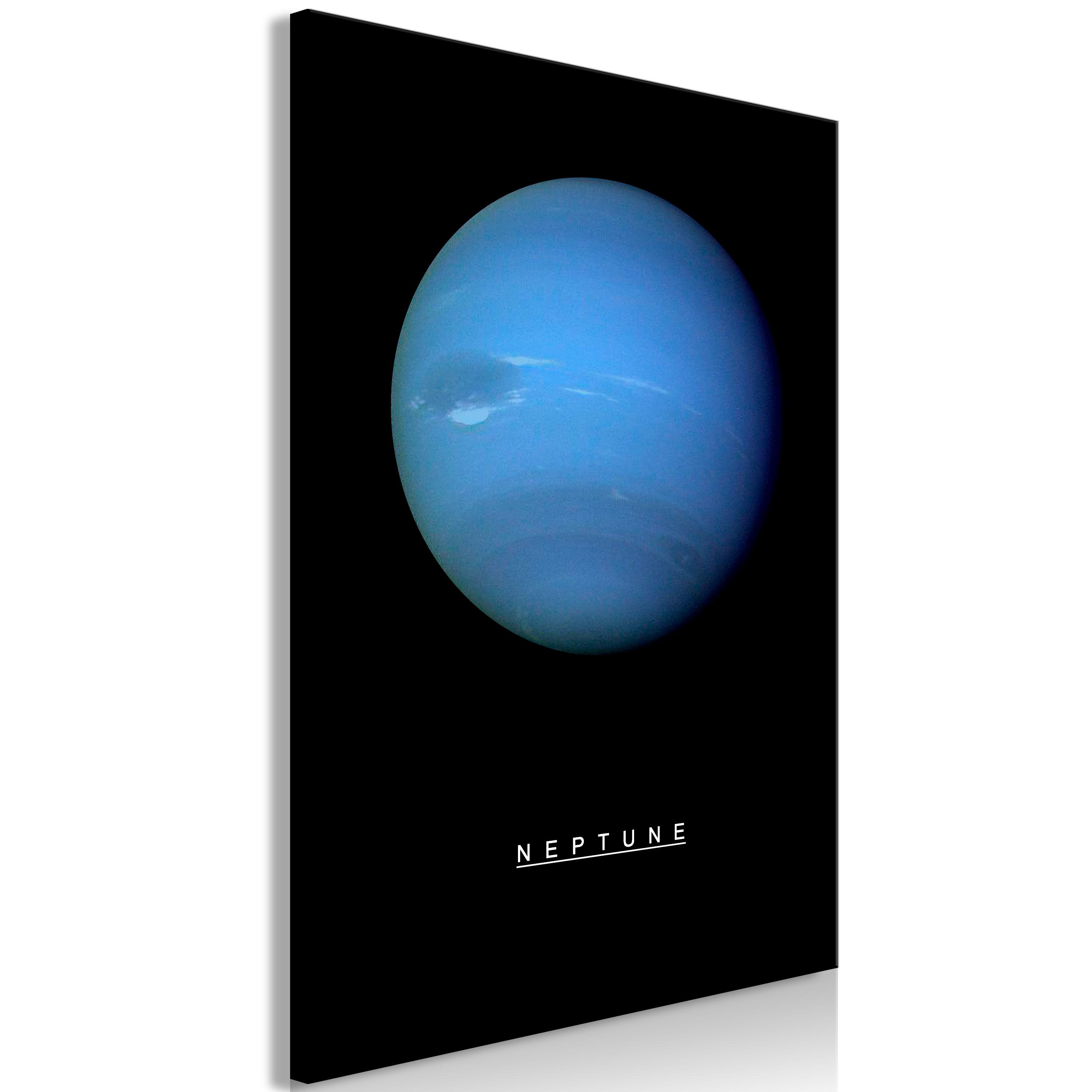 Billede - Neptune (1 Part) Vertical - 40 x 60 cm - På italiensk lærred