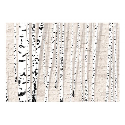 Fototapet - Birchen Grove