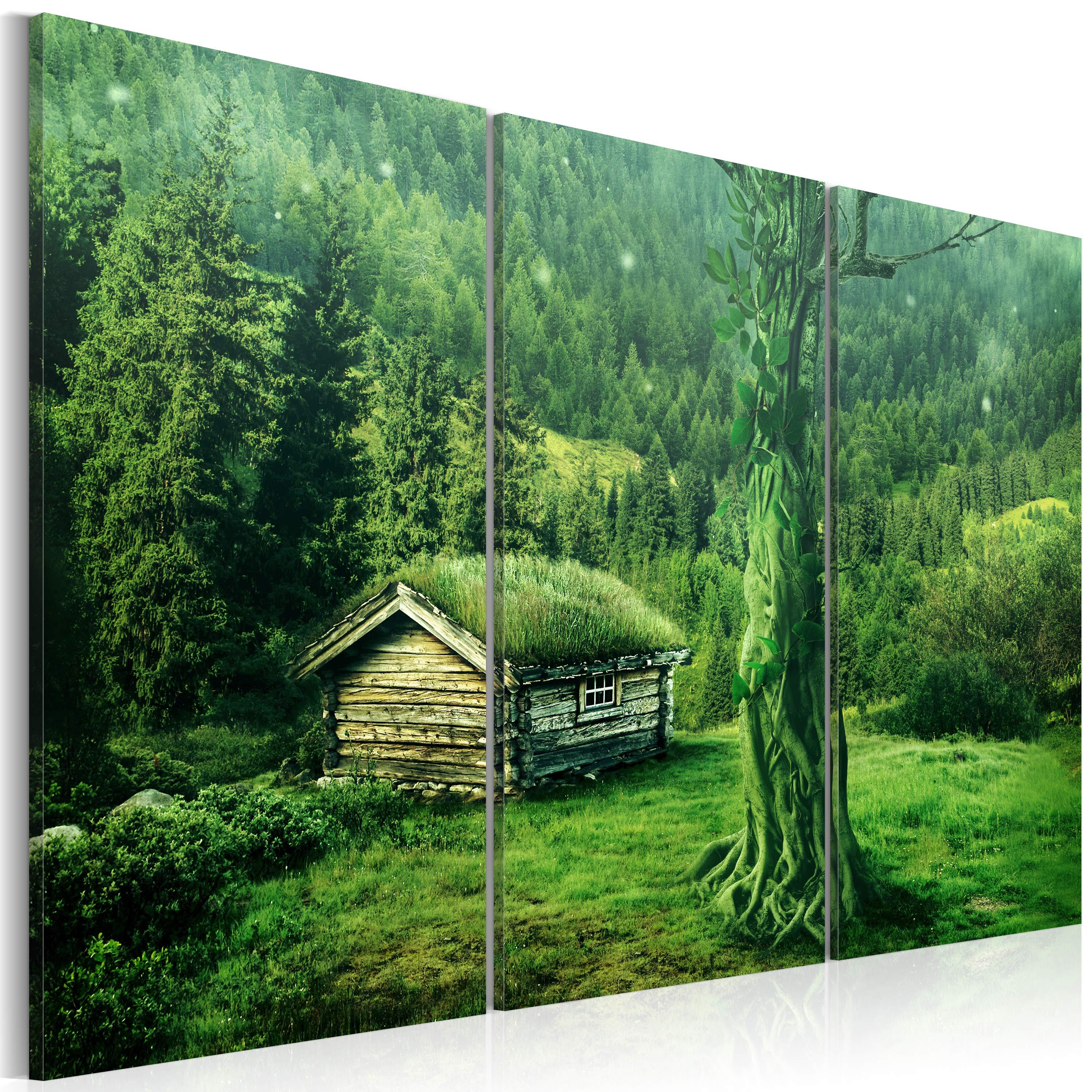 Billede - Forest økosystem - 90 x 60 cm - Standard