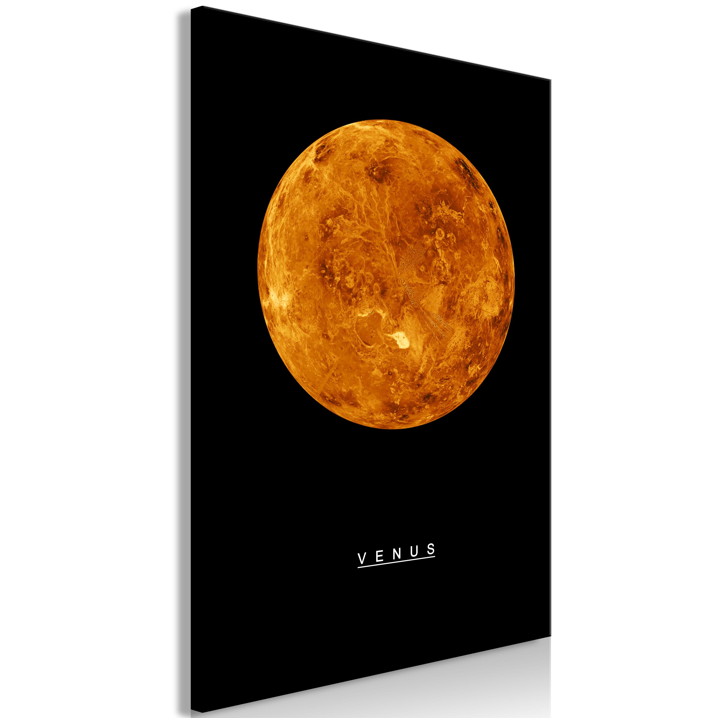 Billede - Venus (1 Part) Vertical - 40 x 60 cm - Standard