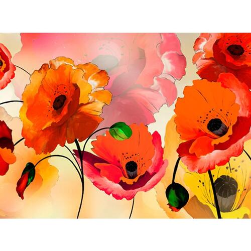 Fototapet - Velvet poppies