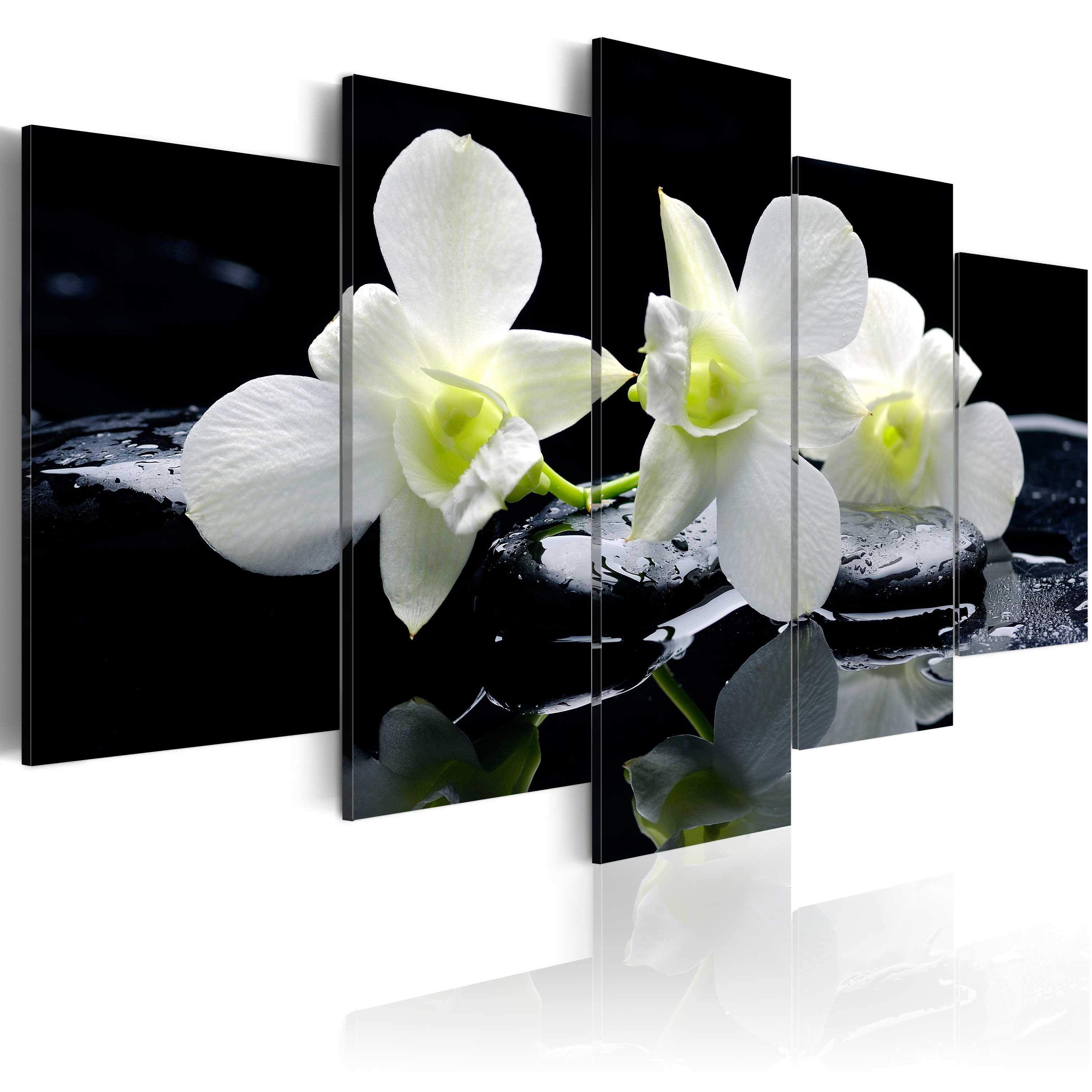 Billede - Melancholic orchids - 100 x 50 cm - Standard