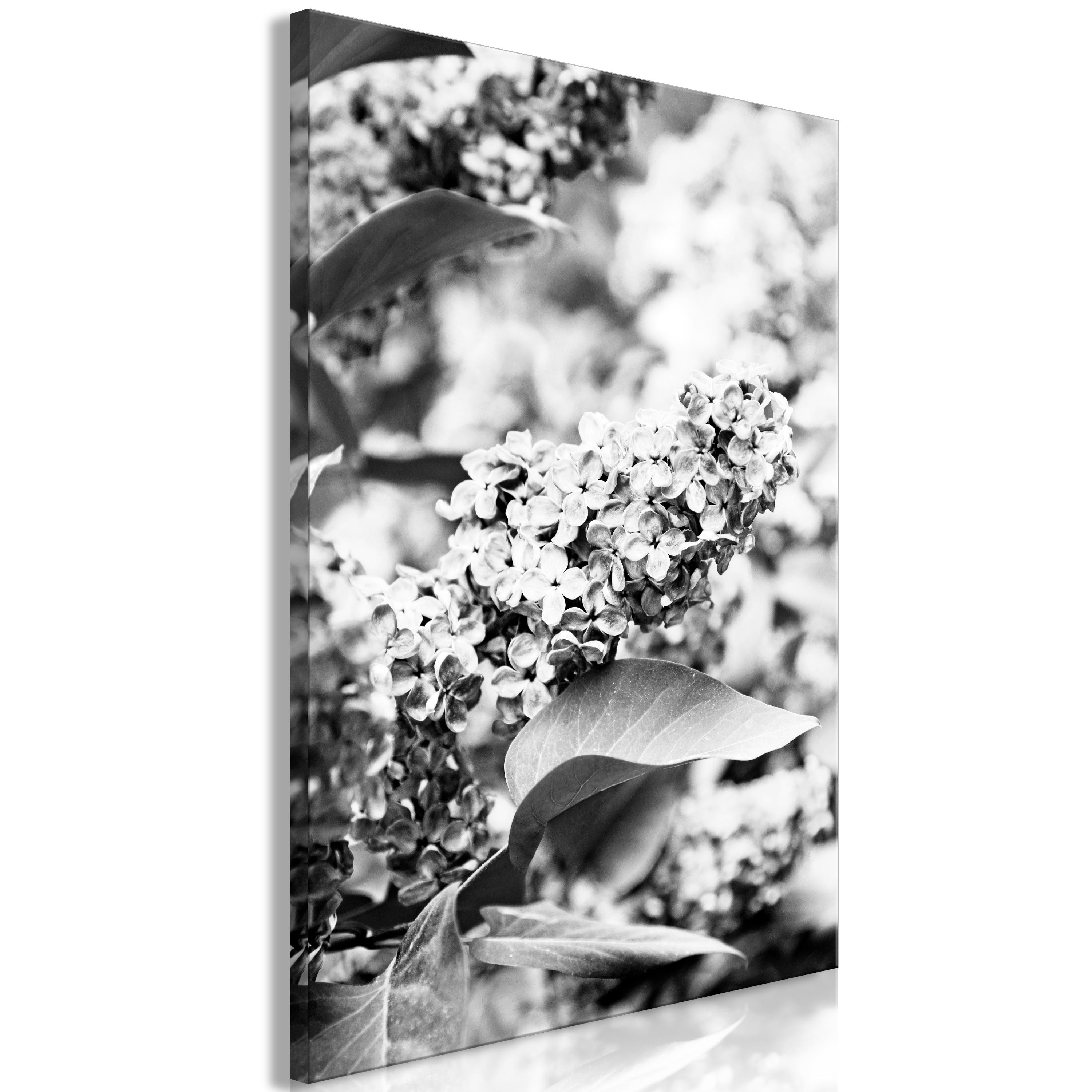Billede - Monochrome Lilac (1 Part) Vertical - 40 x 60 cm - Standard
