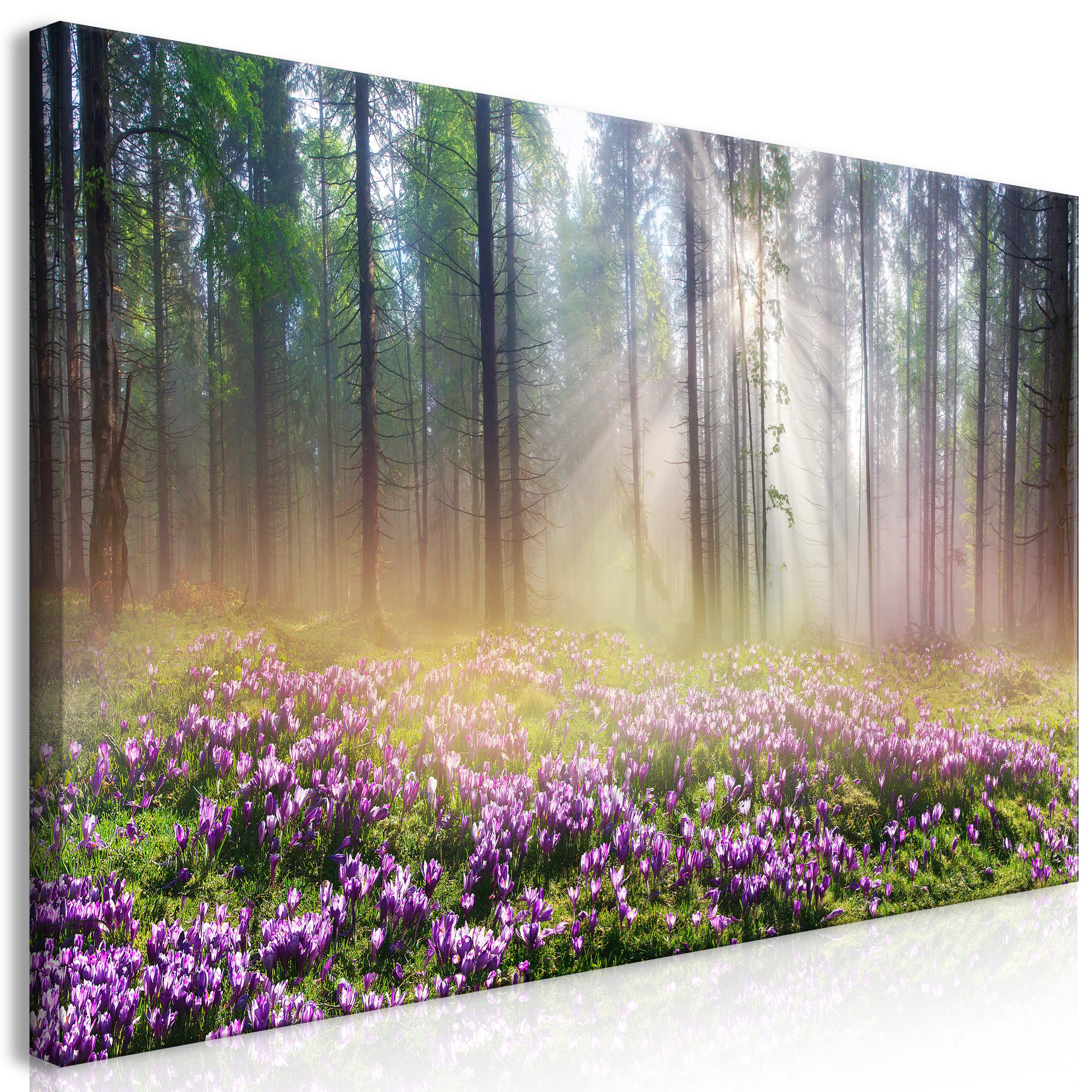 Billede - Purple Meadow (1 Part) Wide - 120 x 60 cm - På italiensk lærred