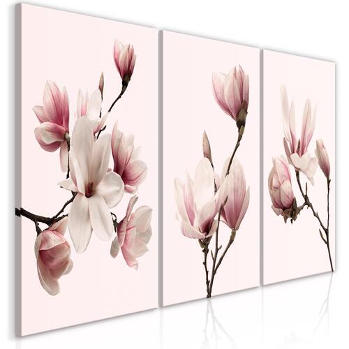 Billede - Spring Magnolias (3 dele)