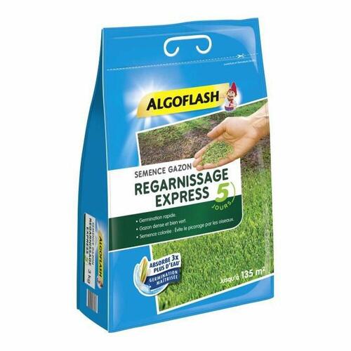 Frø Algoflash Express Græs 3 Kg