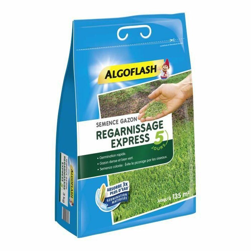 Frø Algoflash Express Græs 3 Kg
