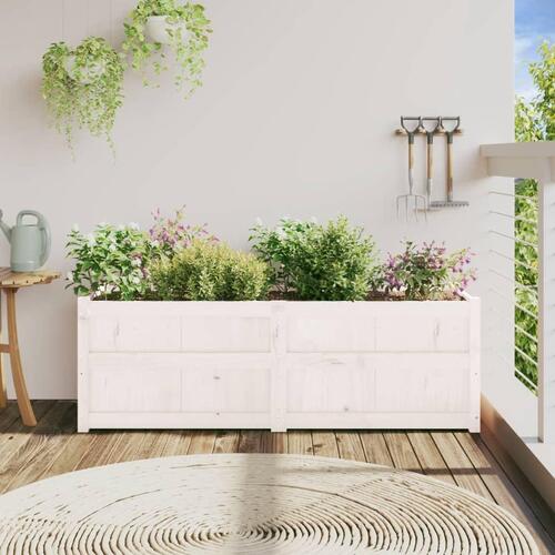 Plantekasse 150x50x50 cm massivt fyrretræ hvid