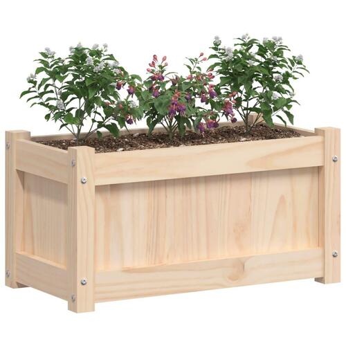 Plantekasse 60x31x31 cm massivt fyrretræ
