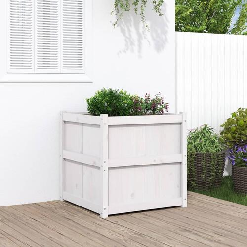 Plantekasse 70x70x70 cm massivt fyrretræ hvid