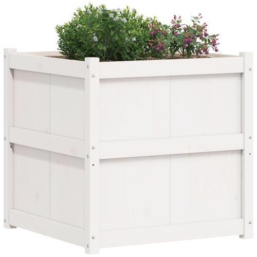 Plantekasse 70x70x70 cm massivt fyrretræ hvid