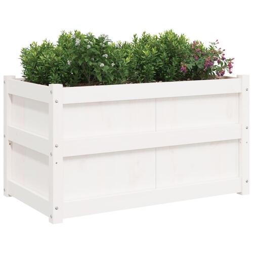 Plantekasse 90x50x50 cm massivt fyrretræ hvid