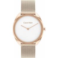 Dameur Calvin Klein 25200270 (Ø 34 mm)