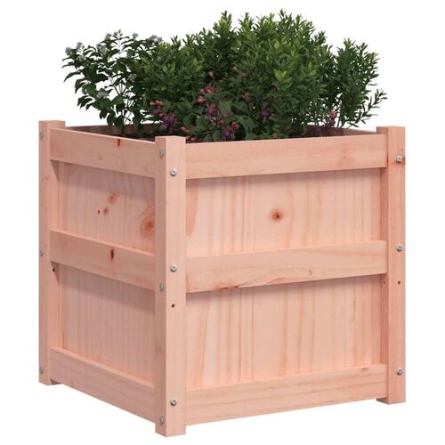 Plantekasse 50x50x50 cm massivt douglasgran