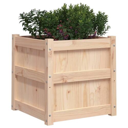 Plantekasse 50x50x50 cm massivt fyrretræ