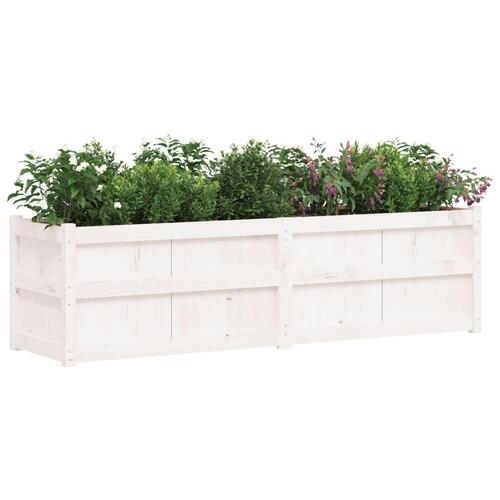 Plantekasse 180x50x50 cm massivt fyrretræ hvid