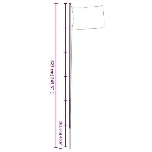 Ukraine flag og flagstang 6,23 m aluminium