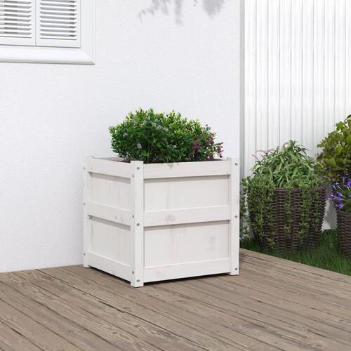 Plantekasse 50x50x50 cm massivt fyrretræ hvid