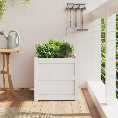 Plantekasse 50x50x50 cm massivt fyrretræ hvid