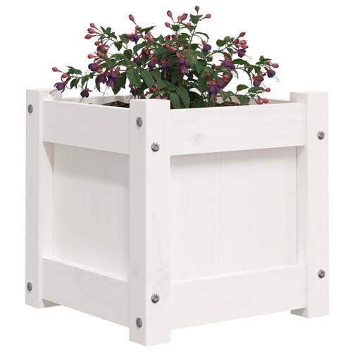 Plantekasse 31x31x31 cm massivt fyrretræ hvid