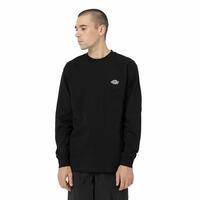 Sweaters uden Hætte til Mænd Dickies Summerdale Hvid M