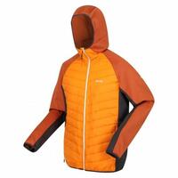 Sportsjakke til Mænd Regatta Andreson VIII Hybrid Orange M