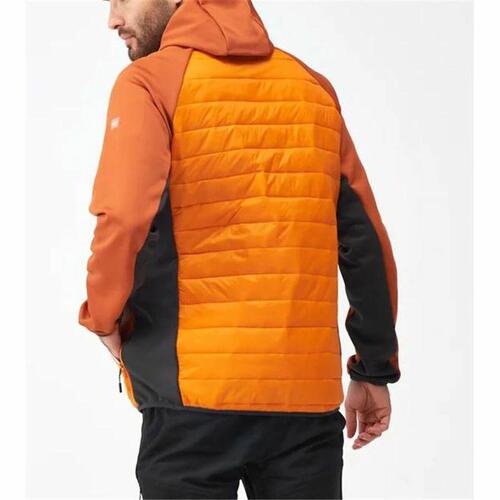 Sportsjakke til Mænd Regatta Andreson VIII Hybrid Orange M